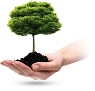 florian_logo_arbol.png
